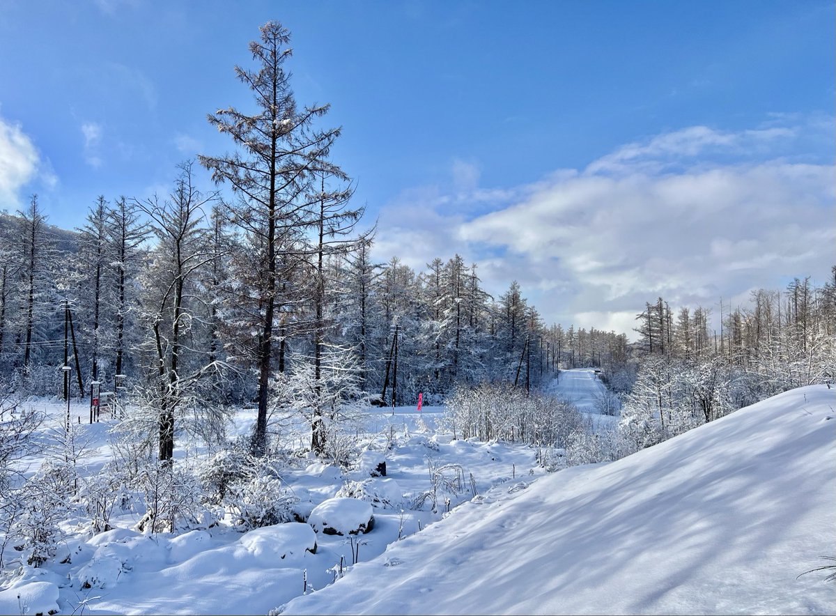 ZothN's tweet image. 寒すぎて死ぬ (´･ω･`)