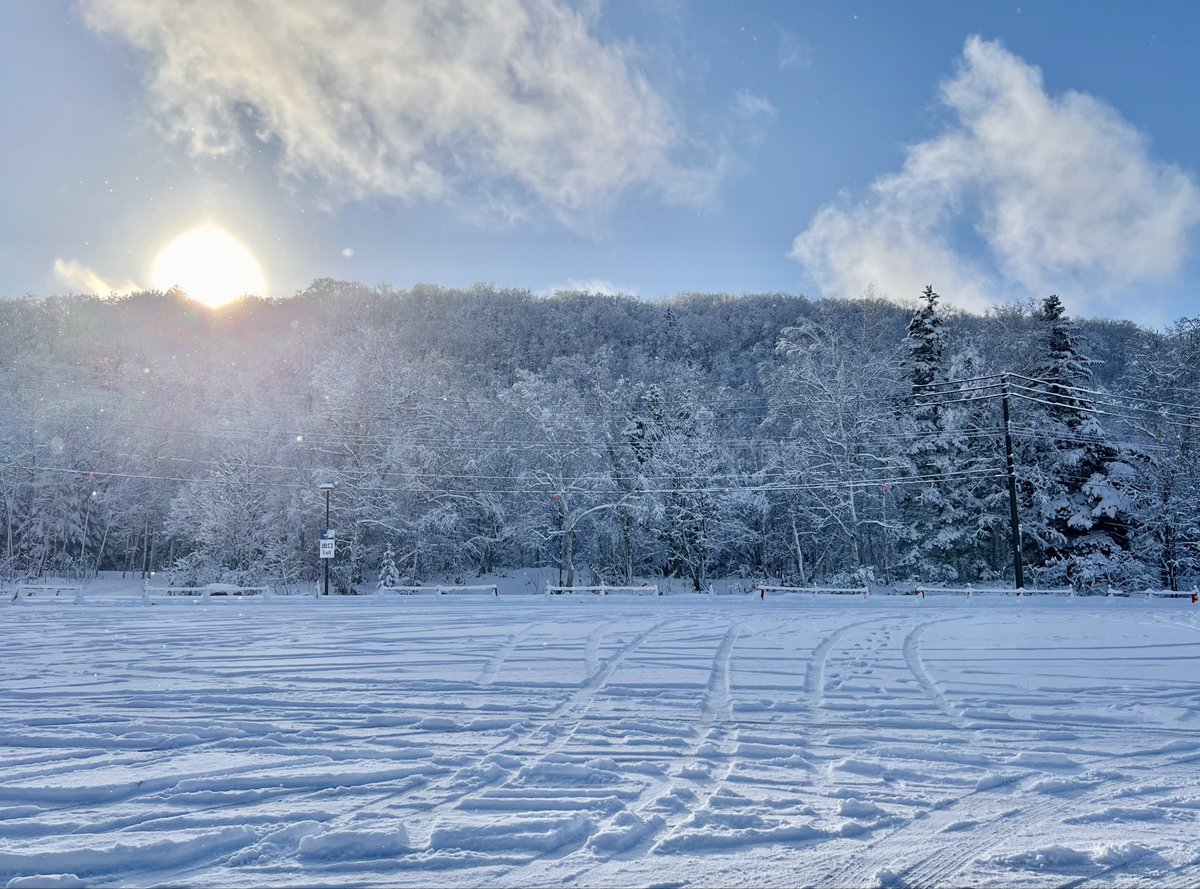 ZothN's tweet image. 寒すぎて死ぬ (´･ω･`)