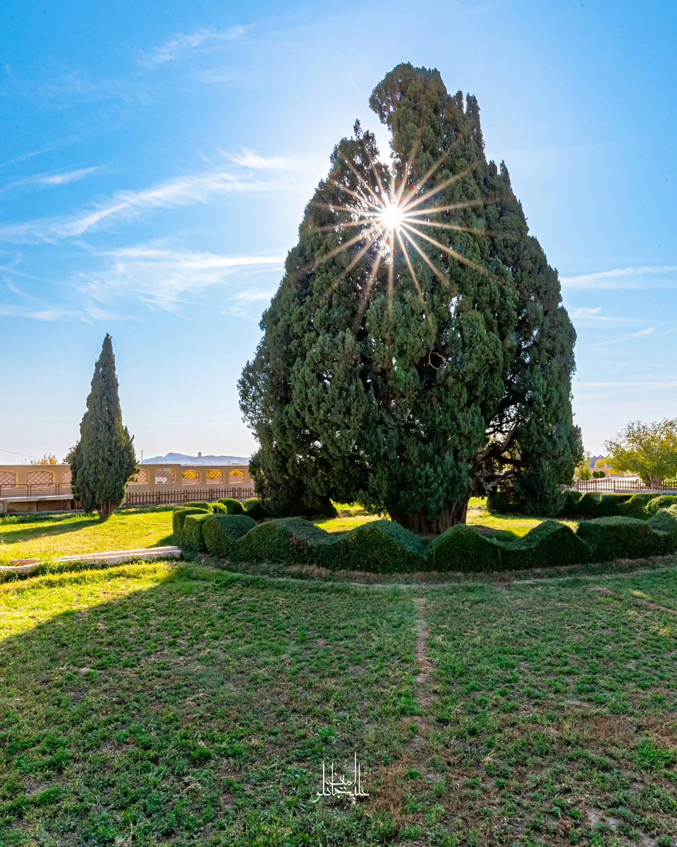 جایی که نور از فراز سرو اَبرکوه عبور می‌کند،
زمان مکث می‌کند و شکوه هزاران سال در یک لحظه می‌درخشد.
عکس: امین علی جانلو
#سرو_ابرکوه #ایران_ببین #میراث_فرهنگی