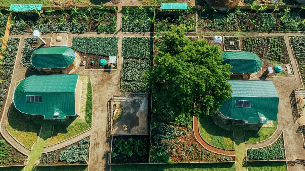 dessalegnmanaye's tweet image. The #CorridorDevelopment Initiative reflects the government&apos;s dedication to inclusive growth, empowering rural communities in regions like Central Ethiopia by creating enabling environments and improving quality of life for all. #RuralDevelopment #Ethiopia
@AbiyAhmedAli