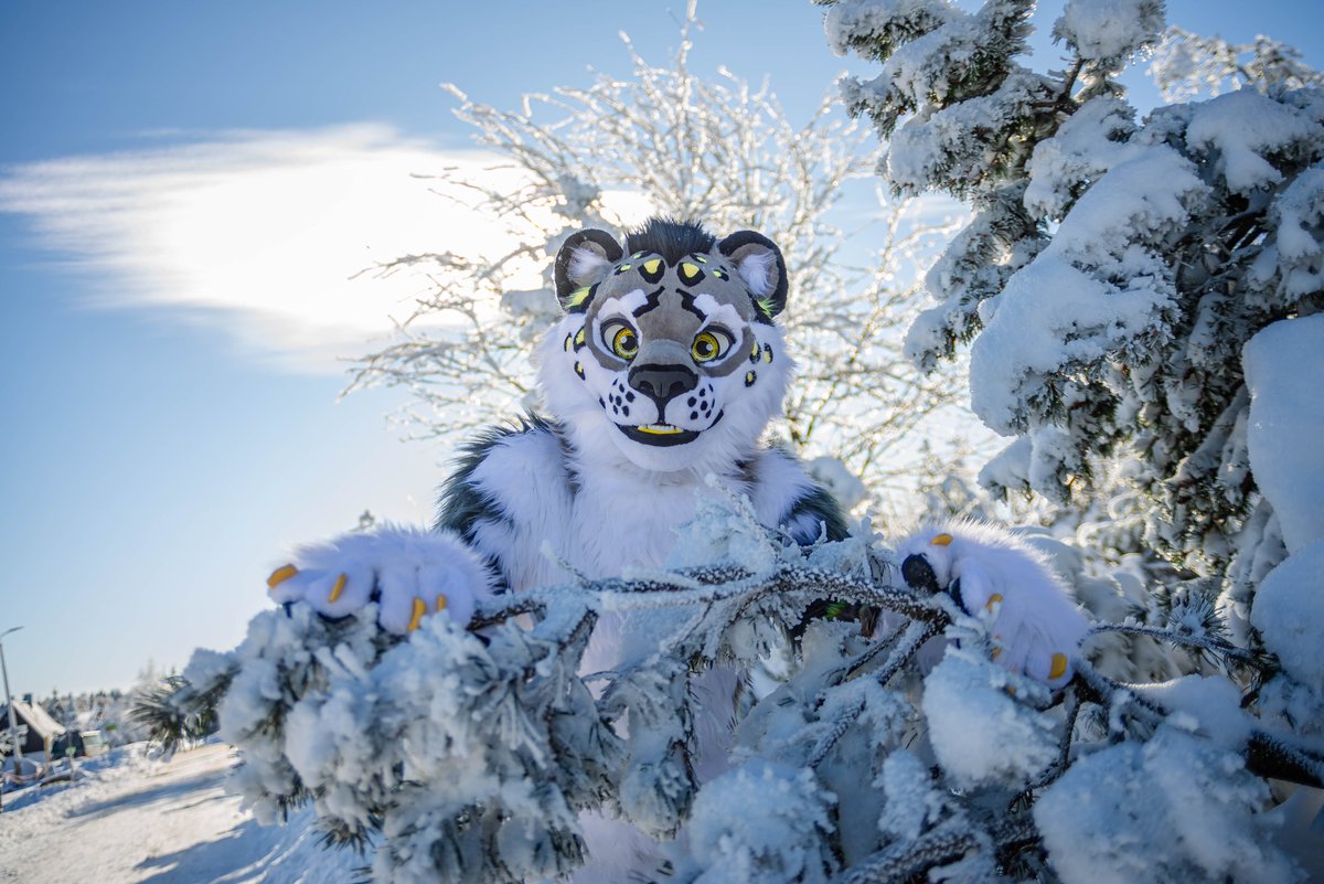 Akoro_snep's tweet image. Hey you! Want some snow?
📸 @LeeTaiger 
🪡 @FurryMachine 

#FursuitEveryday #fursuiter #snep