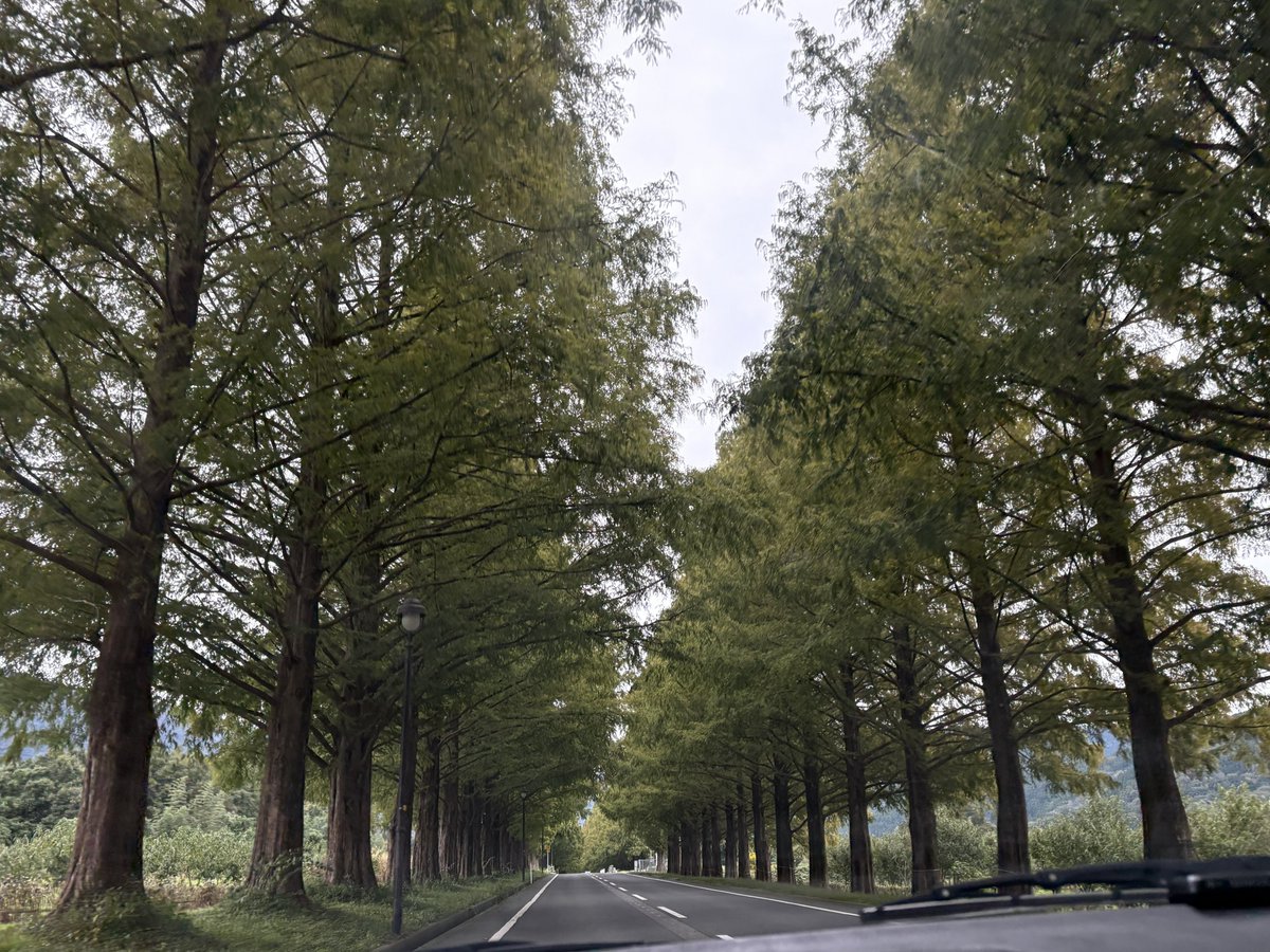 おはモ～ございます🐮愛知県岩倉🌤

先日初めてサラブレッドの乗馬体験をしましたが想像以上に大きくてドキドキ😳🐴✨
乗馬の後はシャインマスカットたっぷりのソーダと大きな栗のシフォンサンドをいただきました🍇🌰

本日もよろしくお願いいたします🐄💨
#企業公式が毎朝地元の天気を言い合う