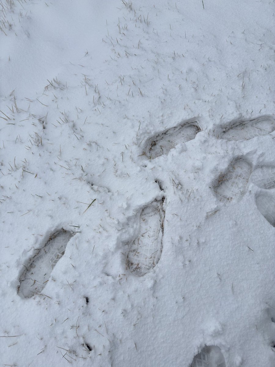 aoitori46494's tweet photo. ハチ北スキー場初冠雪。
11月18日午後２時50分現在
積雪は山頂付近北壁パノラマゲレンデで4〜5センチあります。
#ハチハチ北スキー場
#ハチ北aoitori https://t.co/VZeo7fcIcM