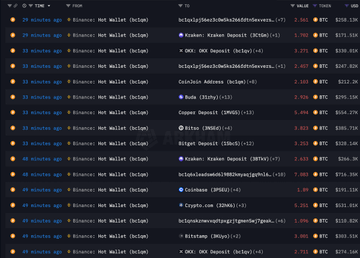 icy0784's tweet photo. 🚨 BREAKING:

BINANCE AND WINTERMUTE DUMPING MILLIONS OF $BTC AGAIN

THEY JUST DUMPED PRICE UNDER $100,000

WHAT IS GOING ON?? https://t.co/QgmUGsfmO2