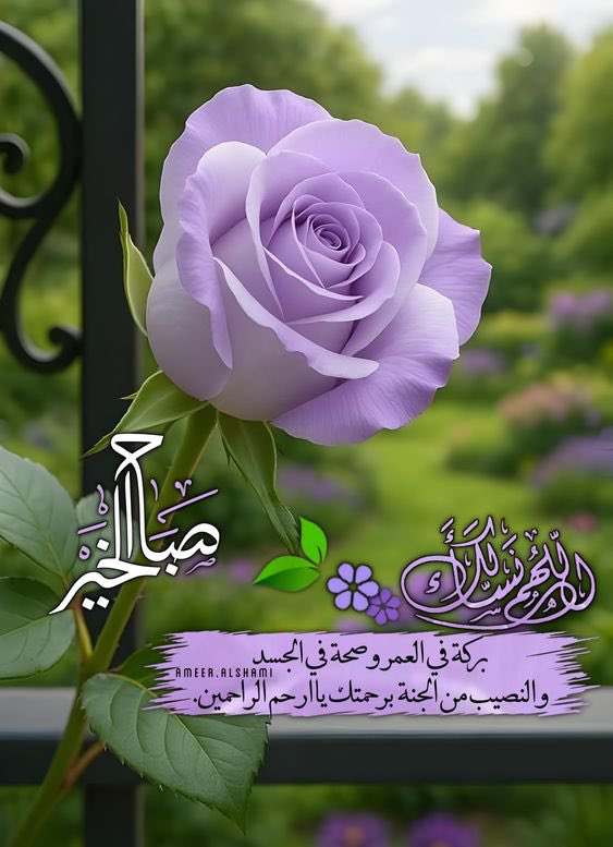 وجود من يشبهكم في الخفة واللطف 
يحول الأيام إلى أعياد واللحظات إلى 
نزهة في قلب الحياة 

صباحكم سعادة وبهجة لا تنتهي