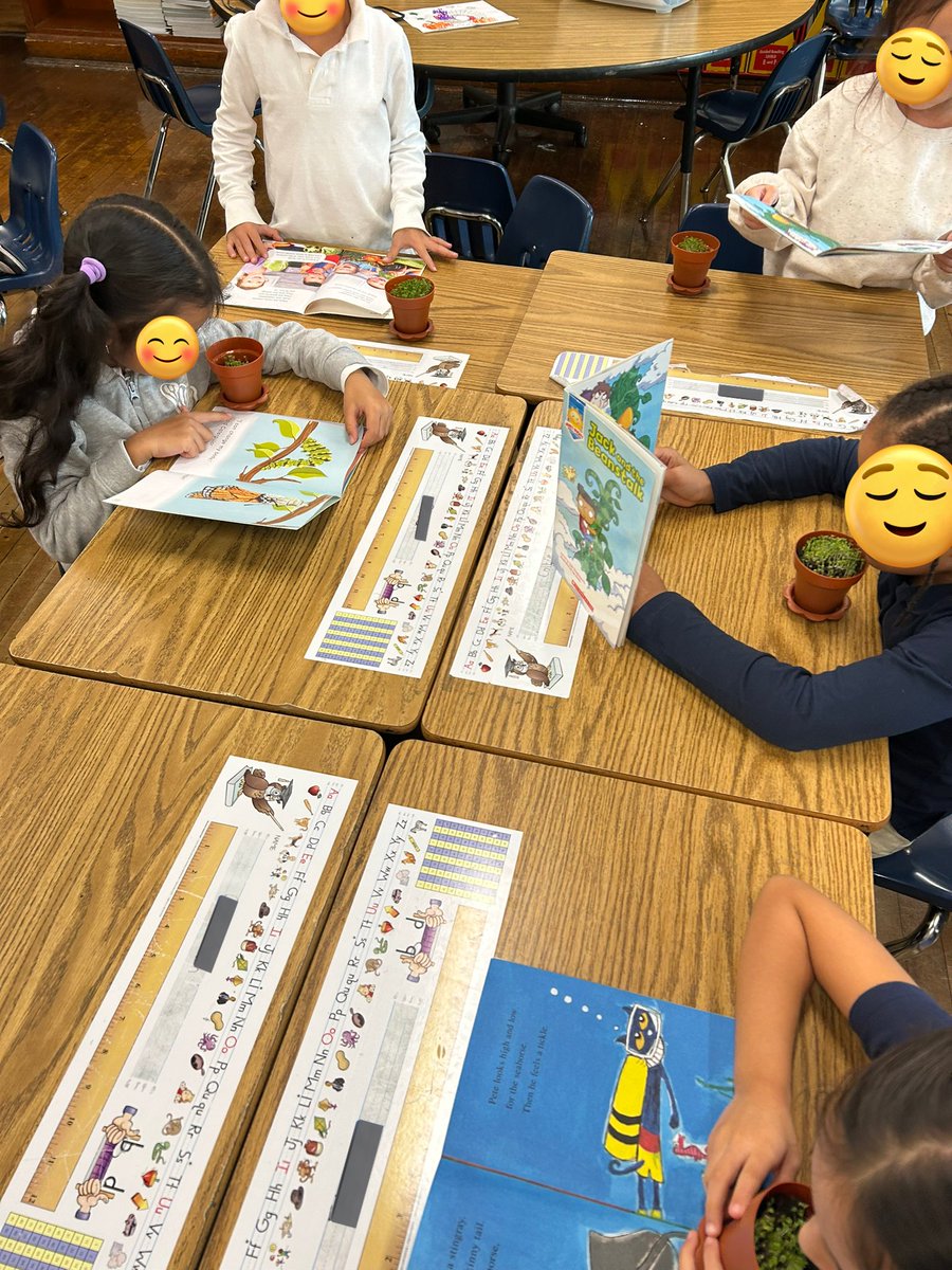 Ms_DGroh's tweet photo. First grade is learning about plant life cycles in ELA and parts of plants and plant traits in science. ๐ฑ Today we learned that plants breathe in the carbon dioxide we breathe out. ๐ฟ No better way to feed our plants than by reading to them! ๐ชด๐ #firstgrade #crosscurricular https://t.co/5IZXy0tCe7