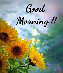 Rajahram2022's tweet image. FM 78.9:  GOOD MORNING,  
#Laos   🇱🇦
Have a nice day. 
#Docu  #FM789