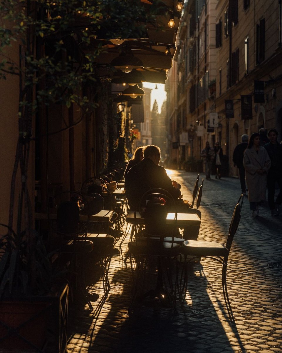 animaetars's tweet image. «La atención es la forma más rara y pura de generosidad», Simone Weil.