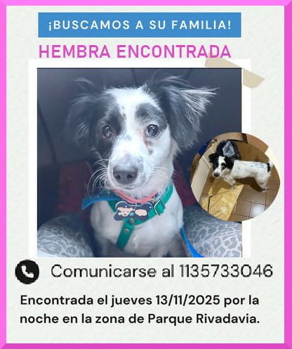Rt
Difundimos