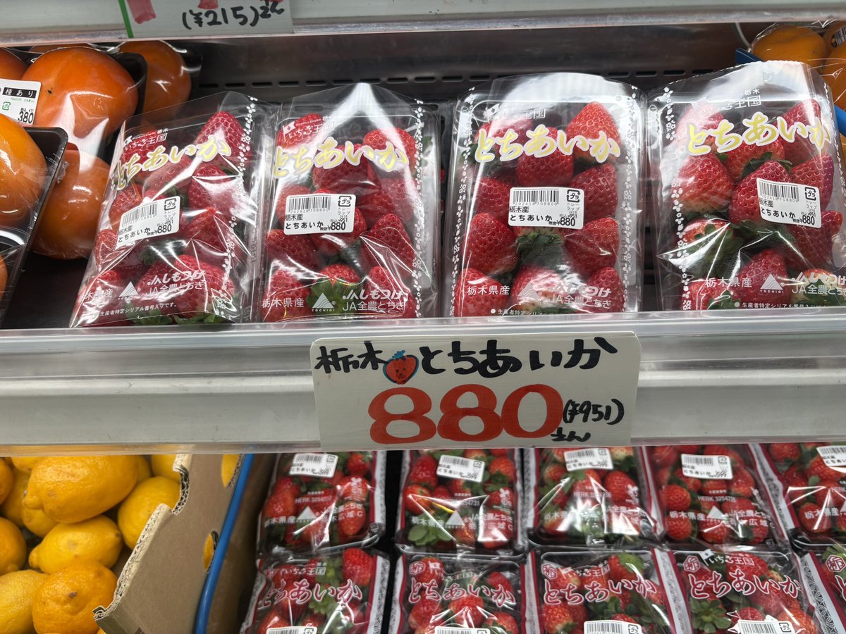 苺⭐︎SALE中様 ✨🍓🍓いちご入荷しました🍓🍓✨ 栃木産 #とちあいか 不揃い→1パック