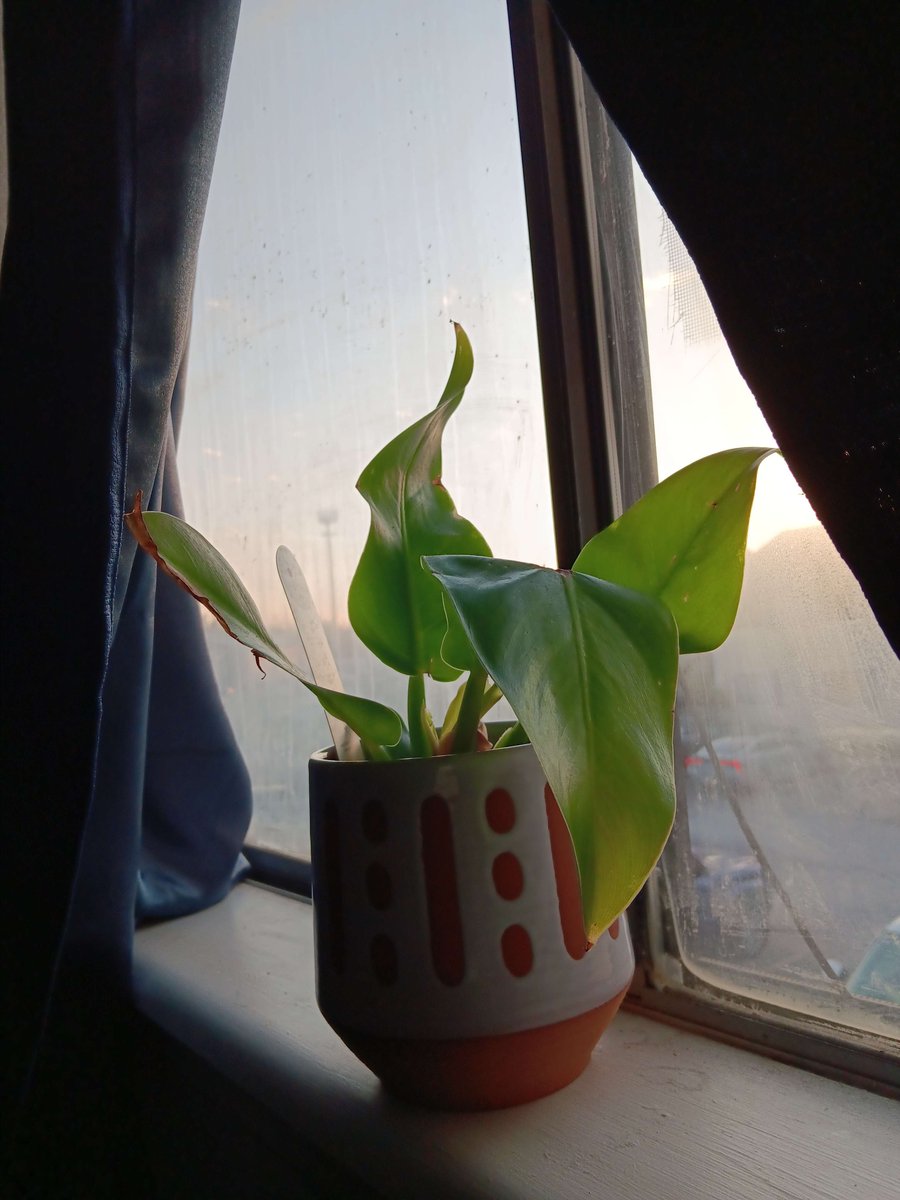 RageAnimation's tweet image. 