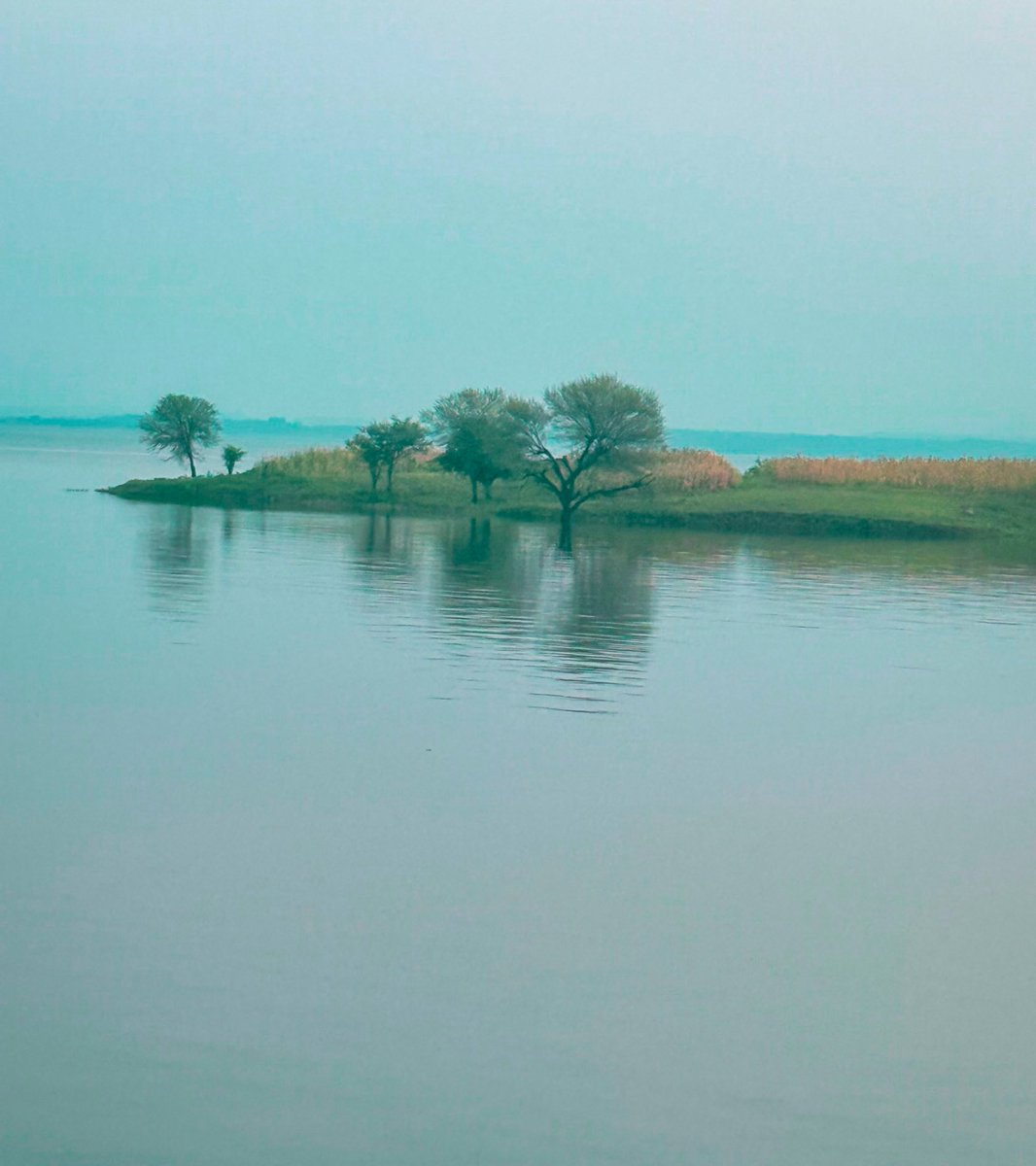 artizzzz's tweet photo. Some beautiful paths can't be discovered without getting lost.

Erol Ozan

#TuesdayTweet 
#travelphotography 
#BanswaraDiaries 
#Rambling
#TuesdayText https://t.co/f4vcHjreSD