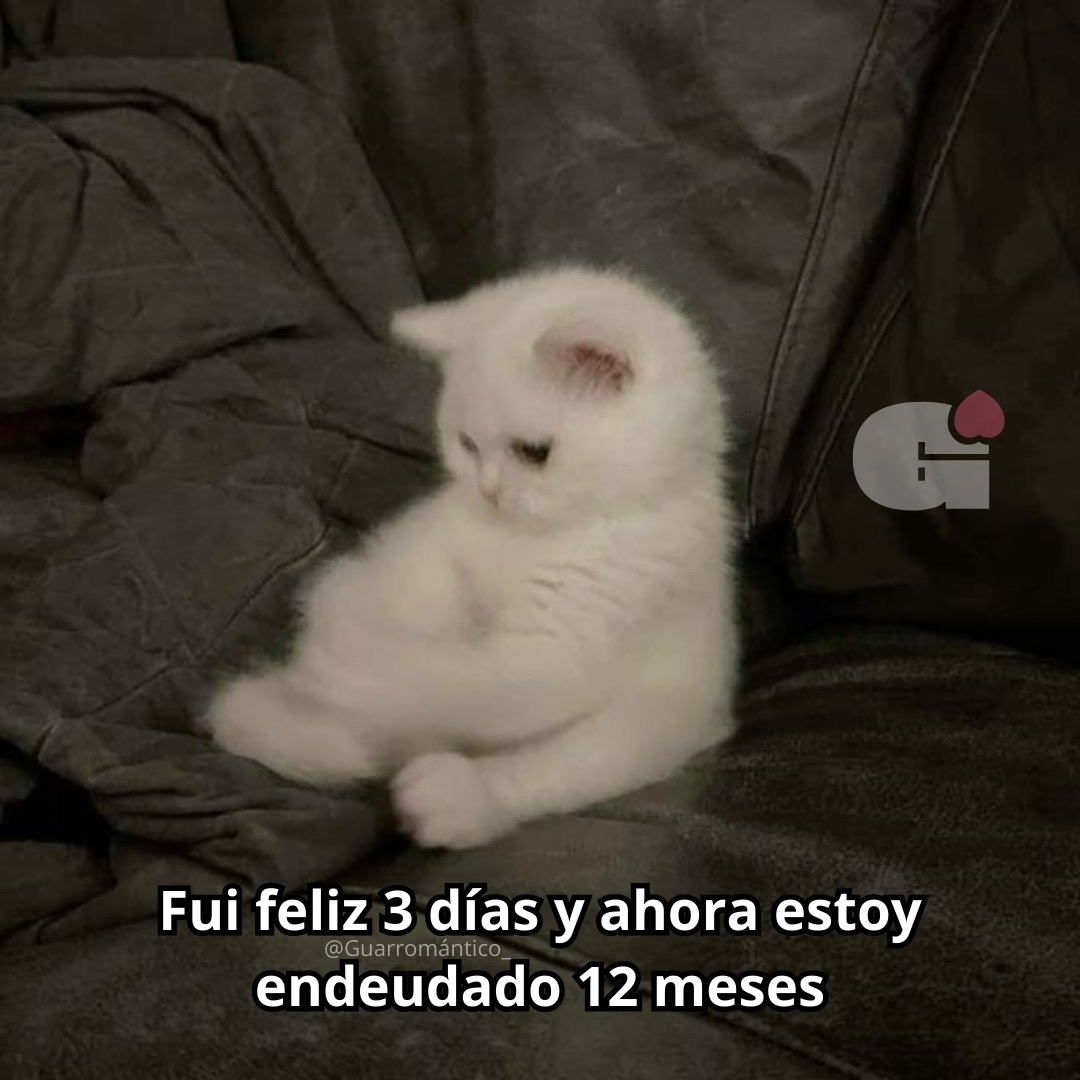 Guarromantico_'s tweet photo. Después del puente. https://t.co/g5LAsyfZvD