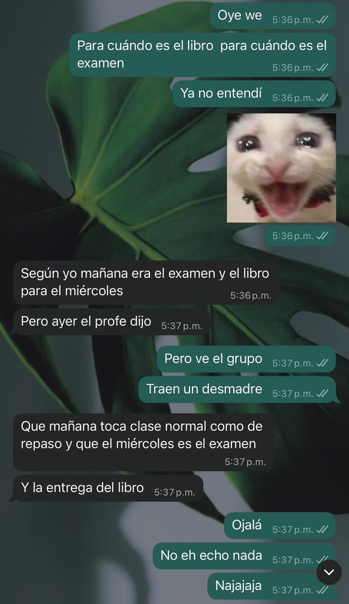 kevinSbarron's tweet photo. Mi día más normal https://t.co/CuM6ck8zuN