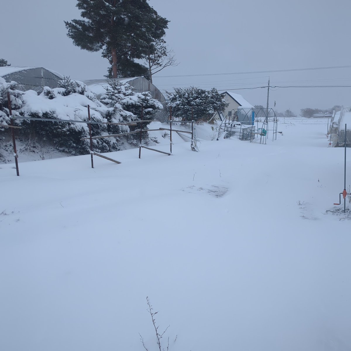 mstabellz's tweet image. 北国はもうこれよ　#Dayz #Frostline #フロストラインから逃げるな