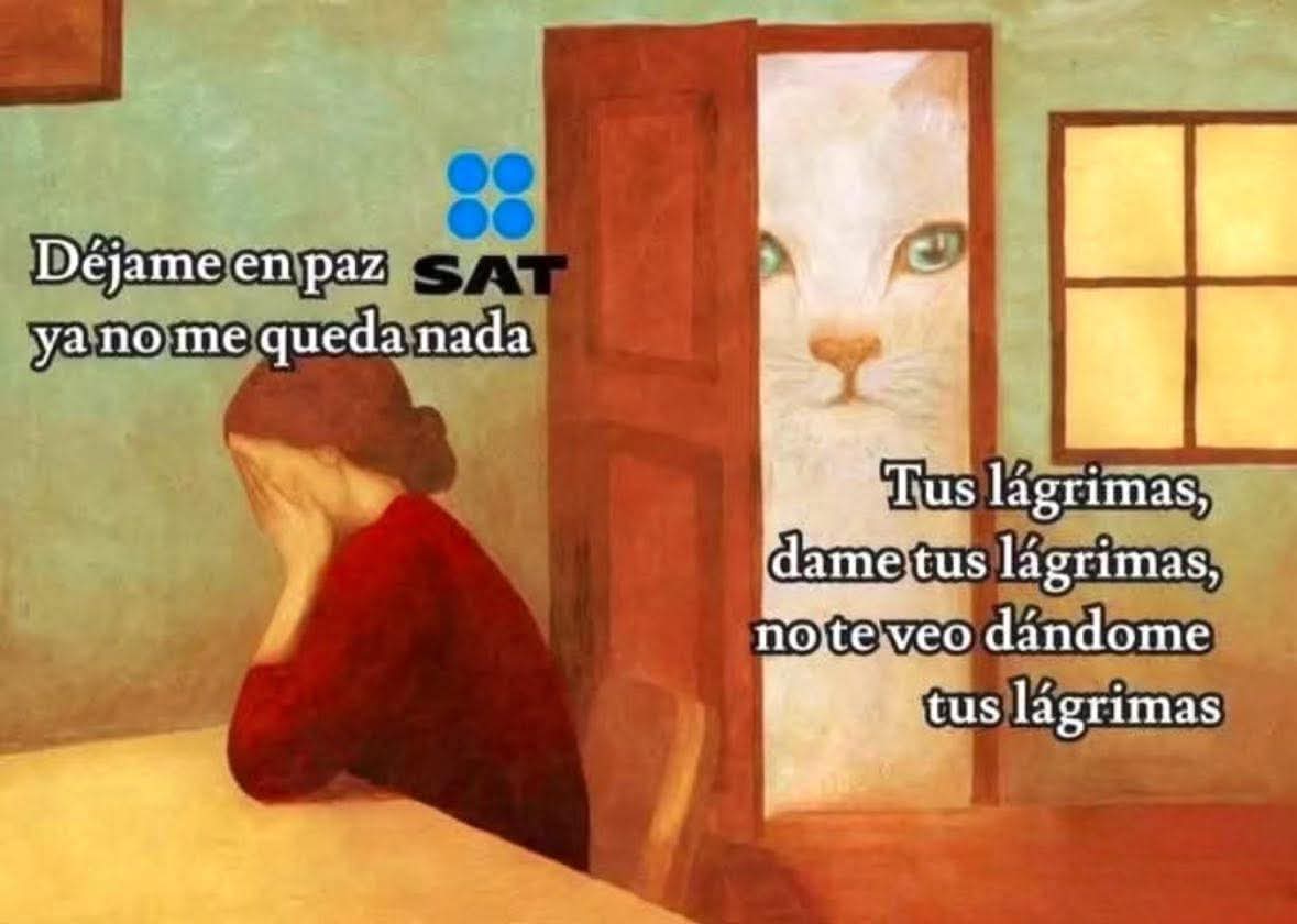 Doña Osa (@nadaporaqui222) on Twitter photo 