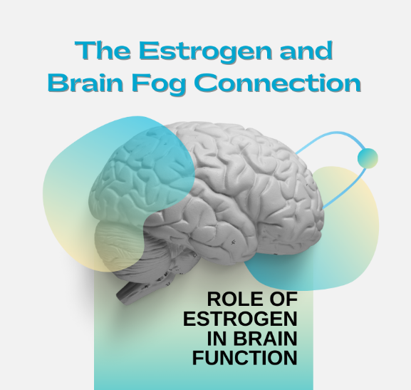KristenJakobitz's tweet image. Does it feel like your #memory is failing you at the worst times? 🧠 #Estrogen is a key hormone for brain health, and as it fluctuates, so can your recall. 

Here are 3 simple lifestyle tweaks to protect your cognitive function and sharpen your focus:

1.  Front-load protein in…
