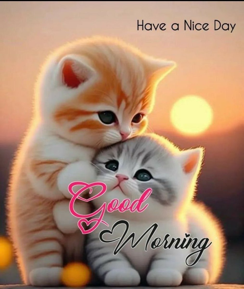 <a href="/__gujju__7/">Gohel Dinesh</a>