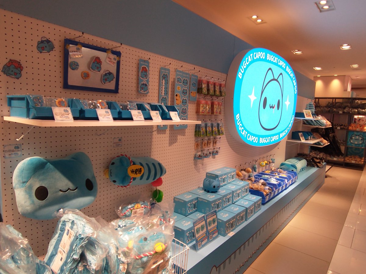 バグキャットカプー梅田大丸店POPUP オープン致しました🐱💙 🐝皆様の