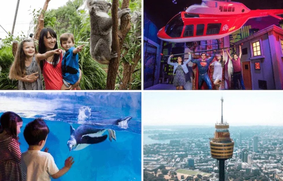 Save on Sydney Attractions Passes combining entry to WILD LIFE Sydney Zoo, SEA LIFE Sydney Aquarium, Sydney Tower Eye or Madame Tussauds Sydney. Buy now at Experience Oz 

experienceoz.com.au/en/sydney/attr…

#deals #Australia #travel