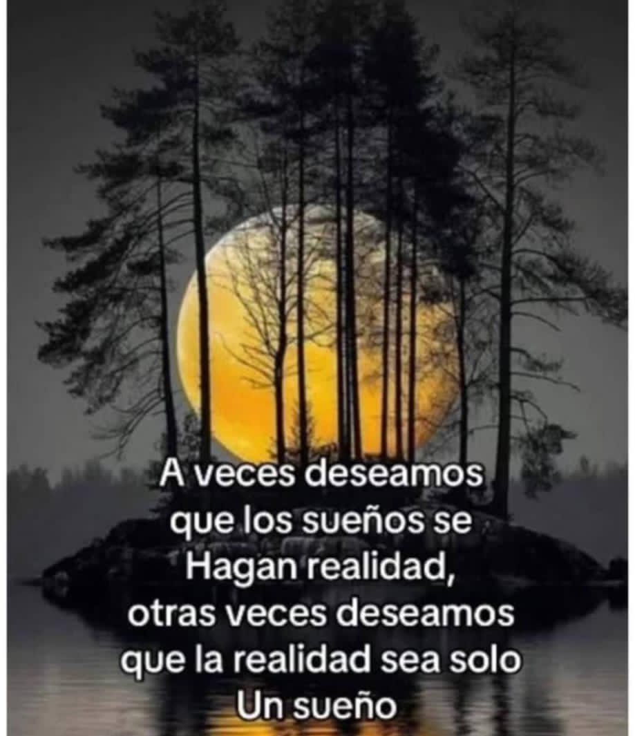 Feliz noche....... 💤😴