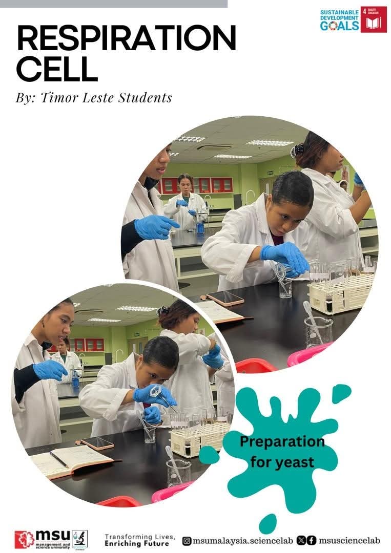 MSUsciencelab's tweet image. From Timor Leste to the lab bench! 👩‍🔬👨‍🔬

#MSUmalaysia  students got hands-on experience preparing yeast to study cellular respiration. Learning by doing! 🔬⚡

#MSUScienceLab 
#LearningExperience
#CellularRespiration
#SDG4QualityEducation 
#beMSUrians