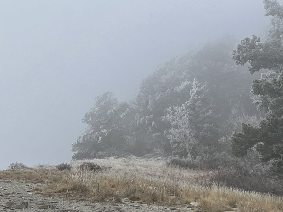 Howtobefit's tweet image. For my daughter’s 21st birthday, we took the Sandia Peak Tramway from 6,659’ up to 10,378’ and then hiked north on the Crest Trail up to 10,574’. Amazing conditions, and then clearing skies to see the view to the east during lunch!