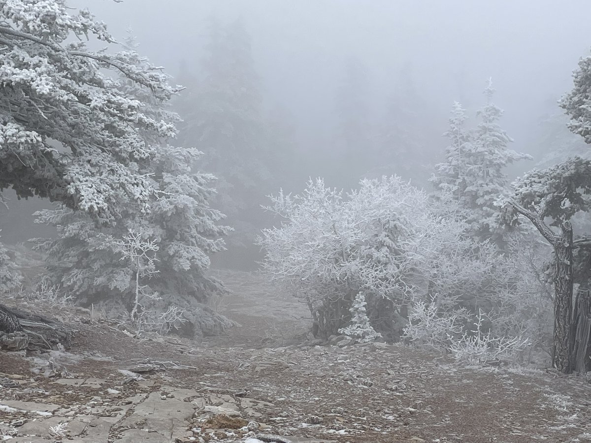 Howtobefit's tweet image. For my daughter’s 21st birthday, we took the Sandia Peak Tramway from 6,659’ up to 10,378’ and then hiked north on the Crest Trail up to 10,574’. Amazing conditions, and then clearing skies to see the view to the east during lunch!