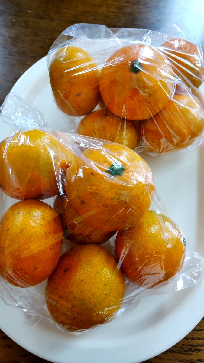 今日はお休み 朝から人気の無人販売所でみかんを買って来た🍊 見た目は
