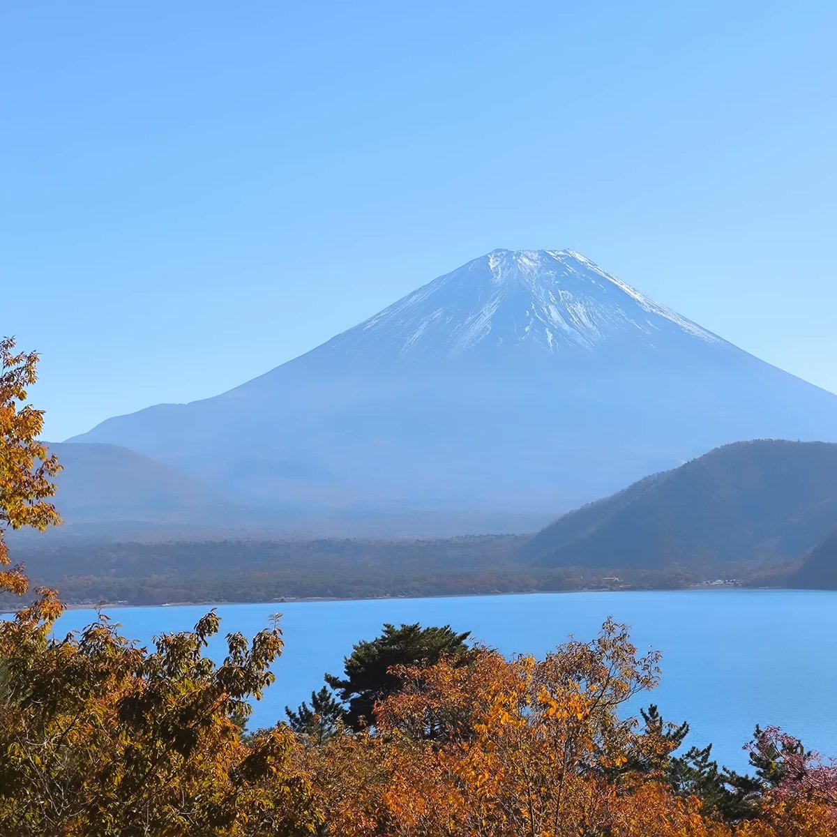 ひでぴょん (@PyonPyon_hydey) / Posts / X