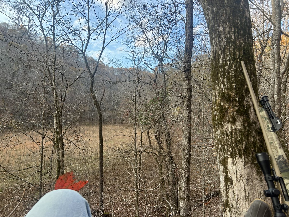 Best time of the year.