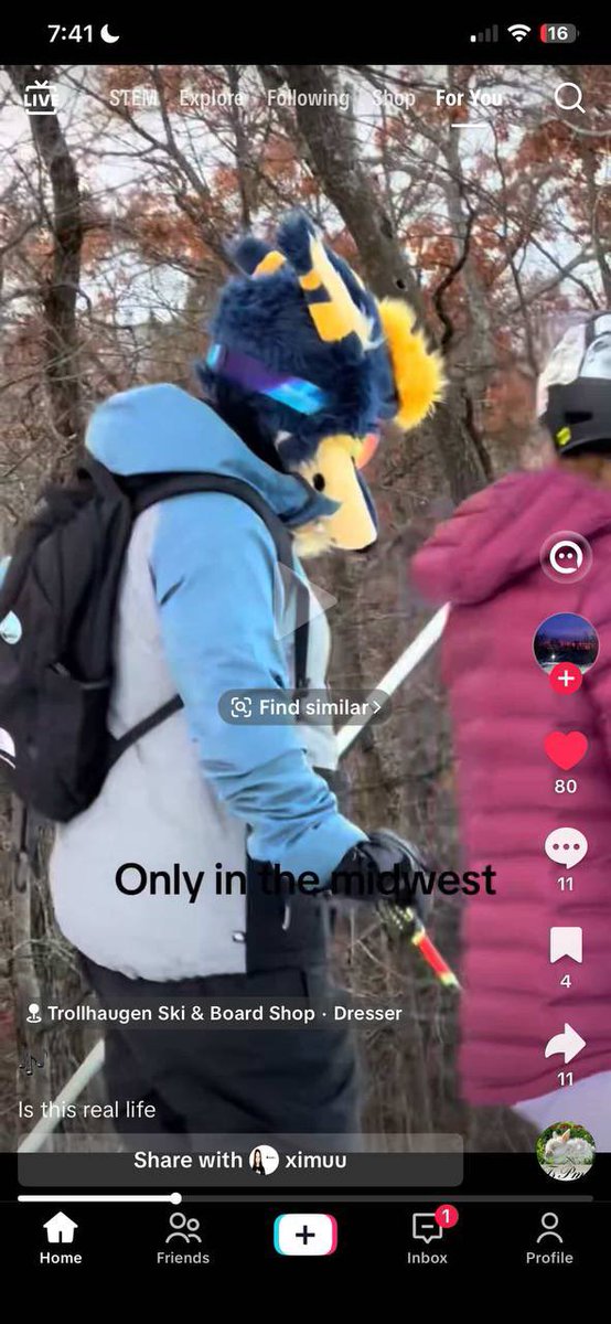 dire_walf's tweet image. Guys I’m famous