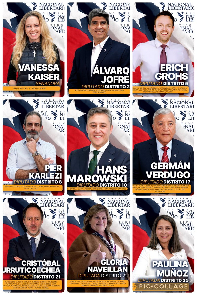 leoromero2024's tweet photo. Felicitaciones, PNL presente y defendiendo la " LIBERTAD" de los Chilenos. https://t.co/QICBvFpzsS