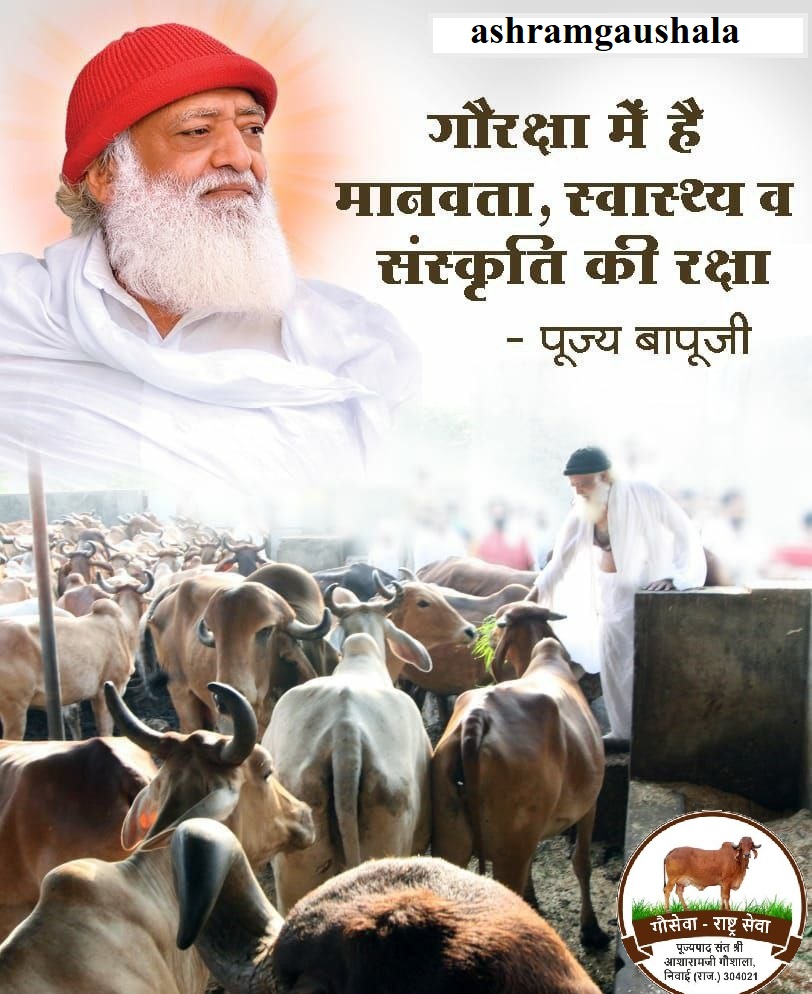 AshramGaushala's tweet image. पयो दधि घृतं चैव पुण्याश्चैता सुराधिप।
वहन्ति विविधान् भारान् क्षुत्त्तृषापरिपीडिता:।।

#गौमाता से दूध, दही और घी मिलता है। गौएँ बड़ी ही पवित्र है और इनके पुत्र बैल भूख-प्यास का कष्ट सहकर भी भांति-भांति का बोझ ढोते है। गोवंश सभी प्रकार से हमारा पोषण करती है - (महा. अ. १३ | १७-२२)