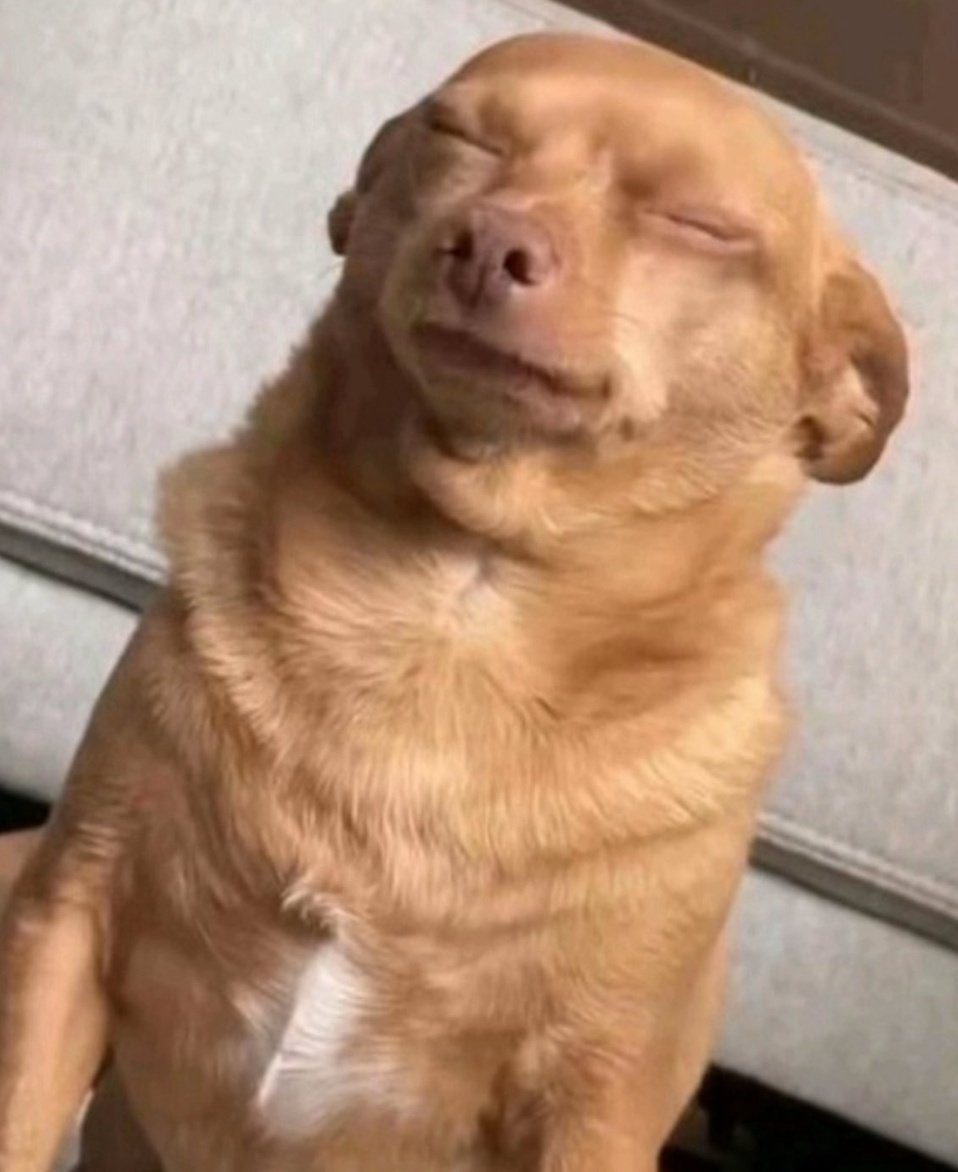 I told you nysc post me go taraba you say I go enjoy the place