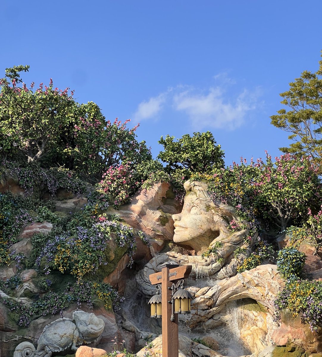 土橋竜太(ツチハシリョウタ) tweet media