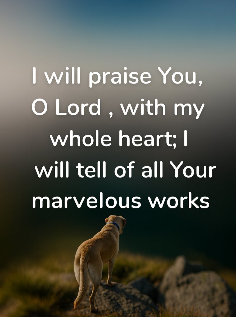 The__Bible7 tweet picture