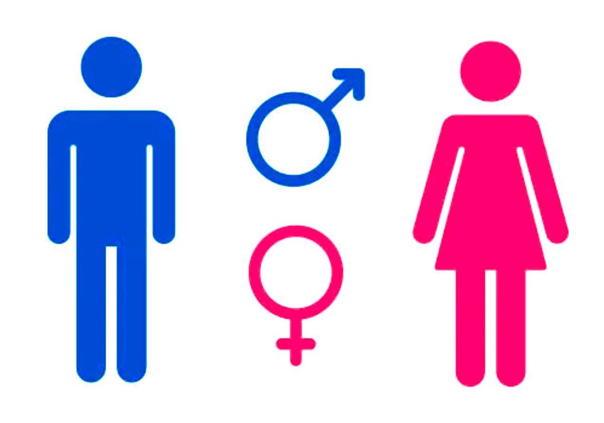 Solo hay dos sexos, masculino y femenino. 

Deja un ❤️ si estás de acuerdo.