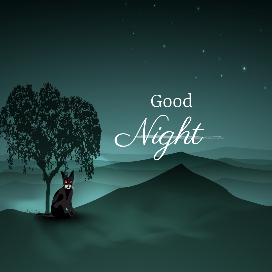 YMMauthor's tweet image. Good Night. As starlight glows and winds are still, rest in the heart of God’s goodwill. 🕊️💤