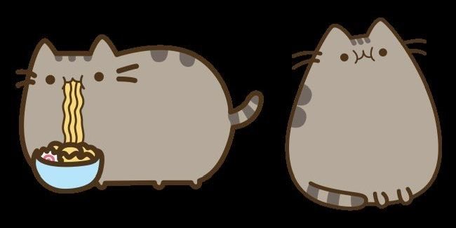 litpusheen's tweet image. ⌕ : #studytwt #lifetwt #robloxtwt 
    𖦹 ana luisa, 2010, 1º EM → 2º EM
    𖦹 foco : enem2027 - economia (uff)
    𖦹 línguas : ptbr, en, fr, esp

𐔌՞. .՞𐦯  forsaken, adopt me, numetal, kpop, flamengo, alnst, pusheen, sanrio

♡/⟳ = moots