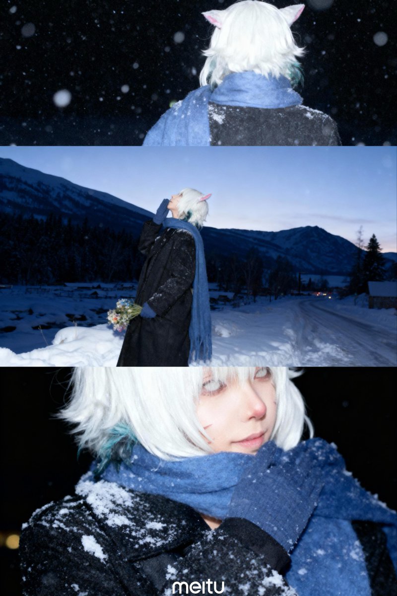 the quiet of the falling snow.