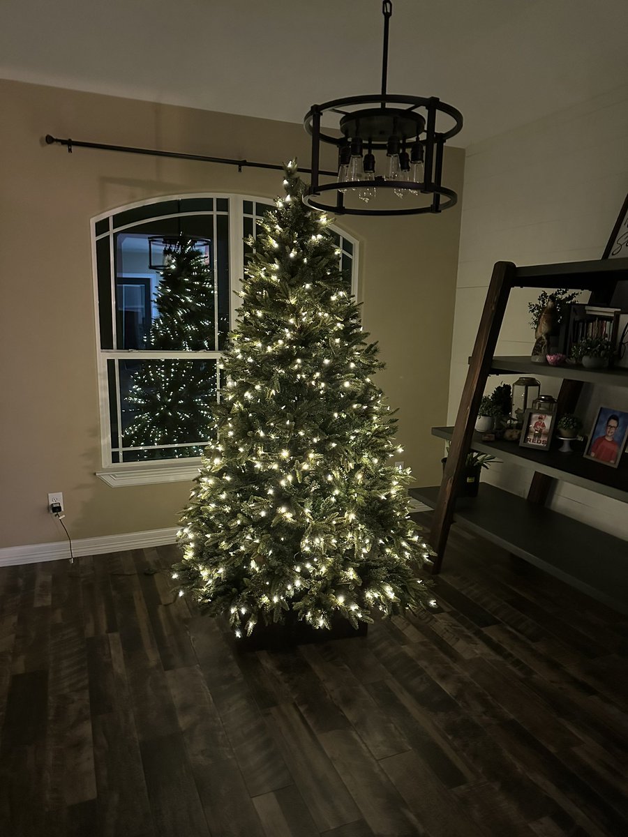 BrandyWoods43's tweet image. I know it’s a little early. #Christmas #tree