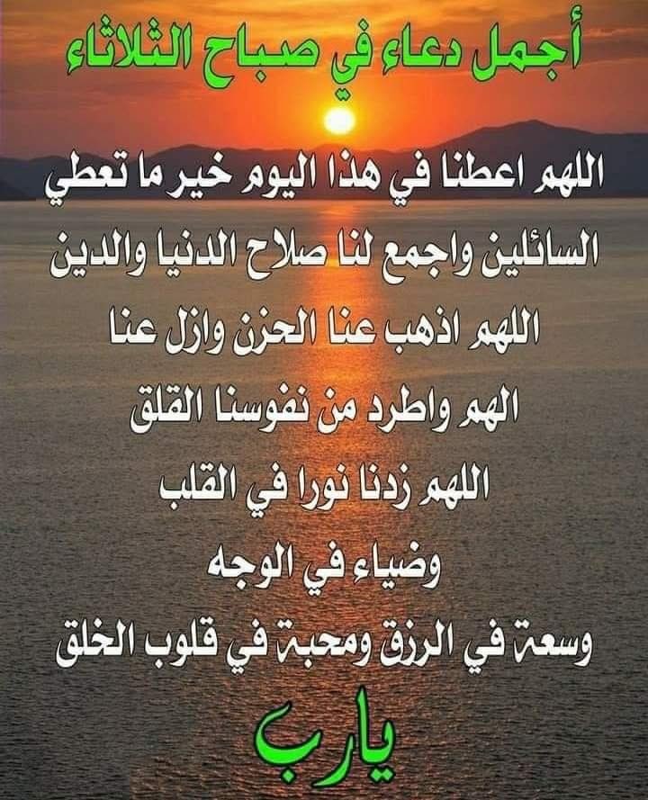 #صباحكم_باقة_ورد💐،
🌷تحمل بين بتلاتها أمل جديد، وتزرع في نفوسكم السعادة والطمأنينة.🌹🍃

#صباح_الخير