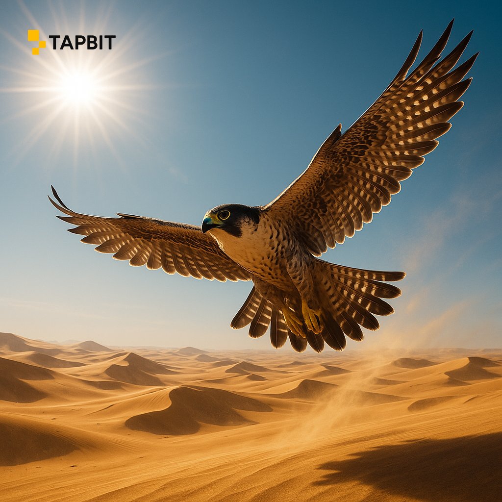 Tapbitglobal's tweet image. GM #Tapbit