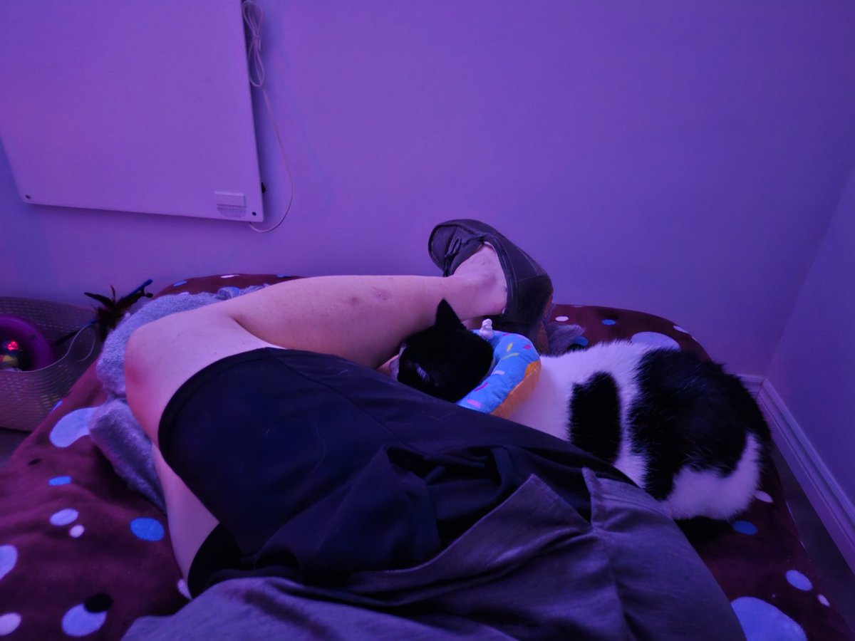 bigdurtynerd's tweet image. I think I may have a new girlfriend! Say hello to Tia!