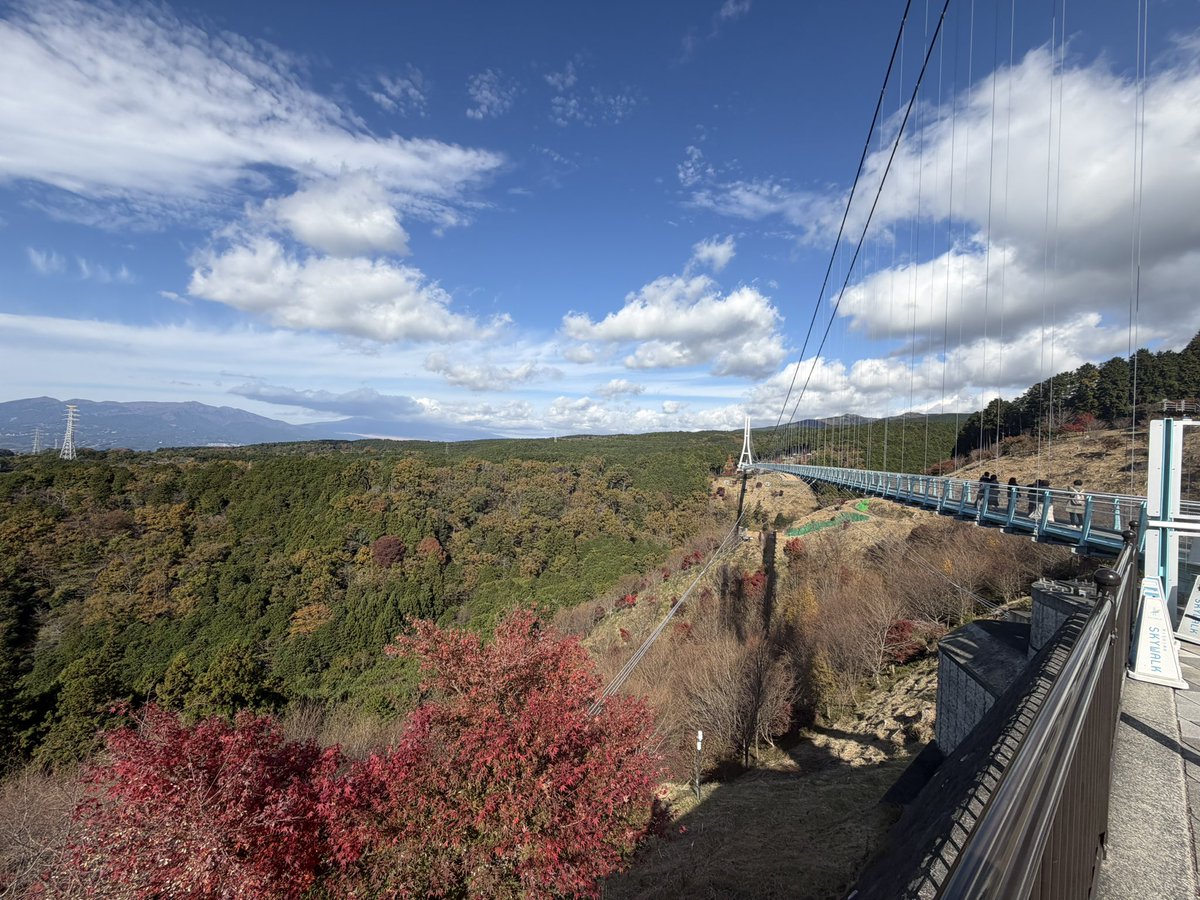 kumatea14's tweet image. 