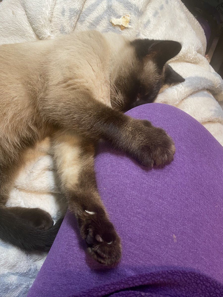 I can’t move right now. I don’t want to wake him up. His is so precious.