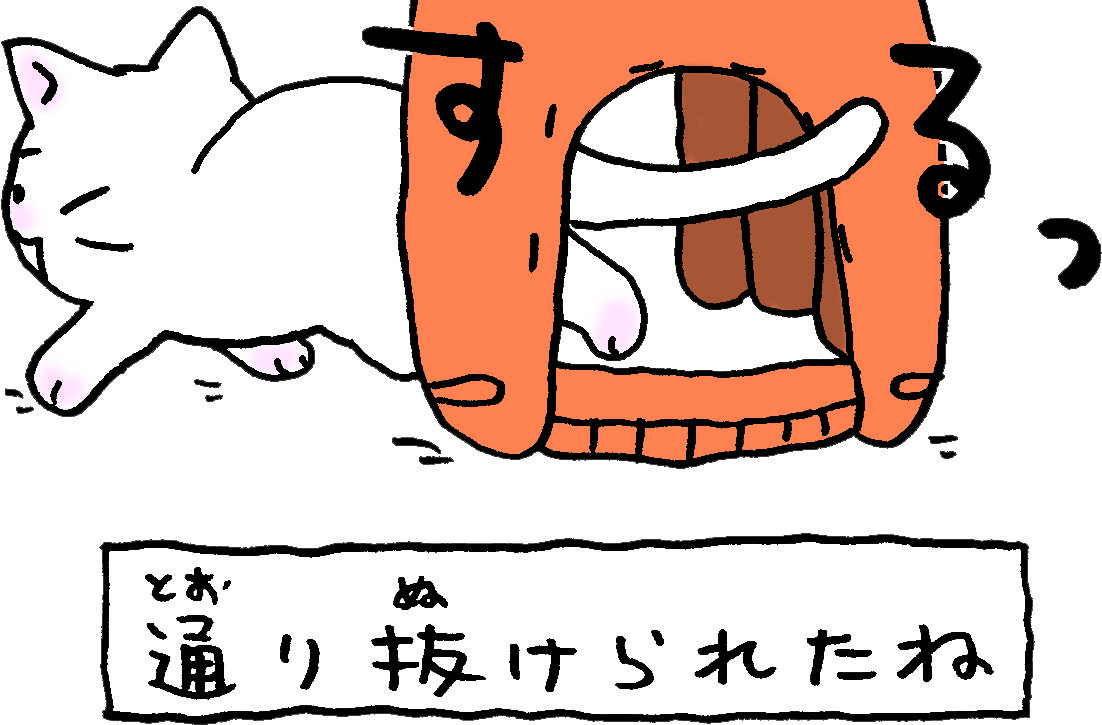 公式猫ピッチャー@18巻発売中＆祝100万部！ (@nekop_staff) / Posts / X