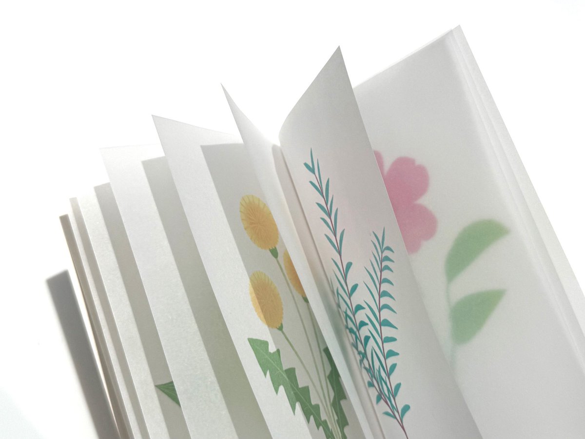 全ページトレーシングペーパーZINE
Fleur fleur fleur 

表紙と裏表紙には銀インクを使用しており、光にてるとキラリと輝きます。

本文は全てトレーシングペーパーでイラストがうっすらと透けてめくるのが楽しいです🌷

#COMITIA154