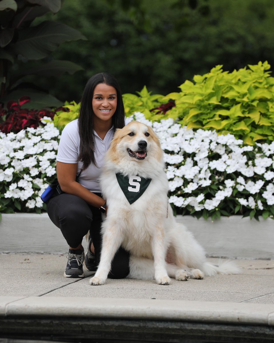 michiganstateu's tweet image. Meet Chase, a very good boy and the newest member of MSU's comfort canine team.

Working alongside @MSUPolice Detective Sydnee Zienta, Chase supports Spartans, providing comfort to those navigating challenges such as medical leaves, conduct processes or personal distress.